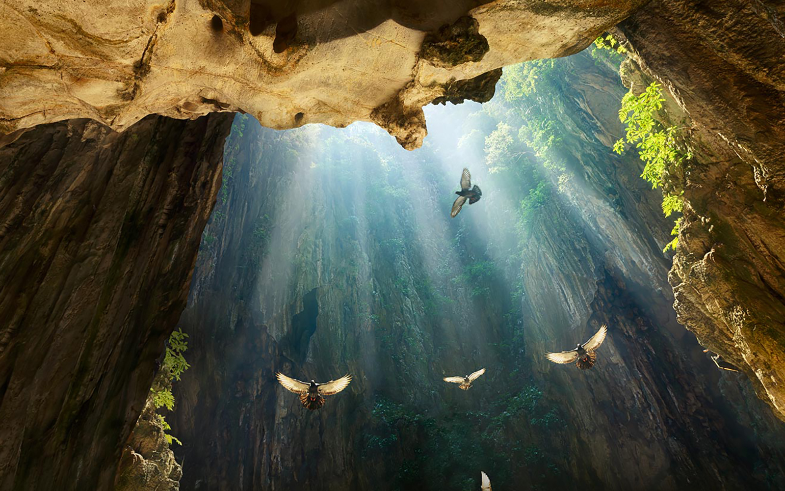 4K Cinema HDR